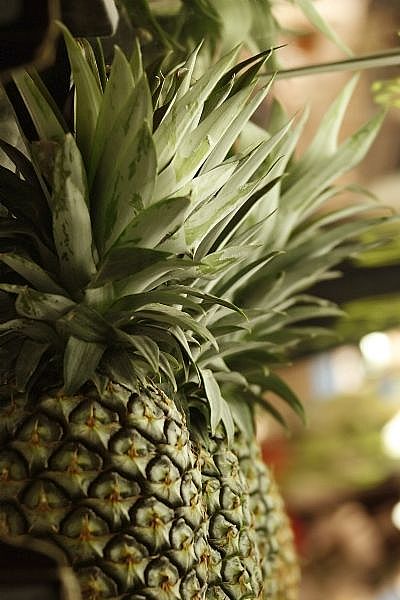 Photo Credit: Unavailable, http://i.ehow.com/images/GlobalPhoto/Articles/5133825/Pineapple-main_Full.jpg